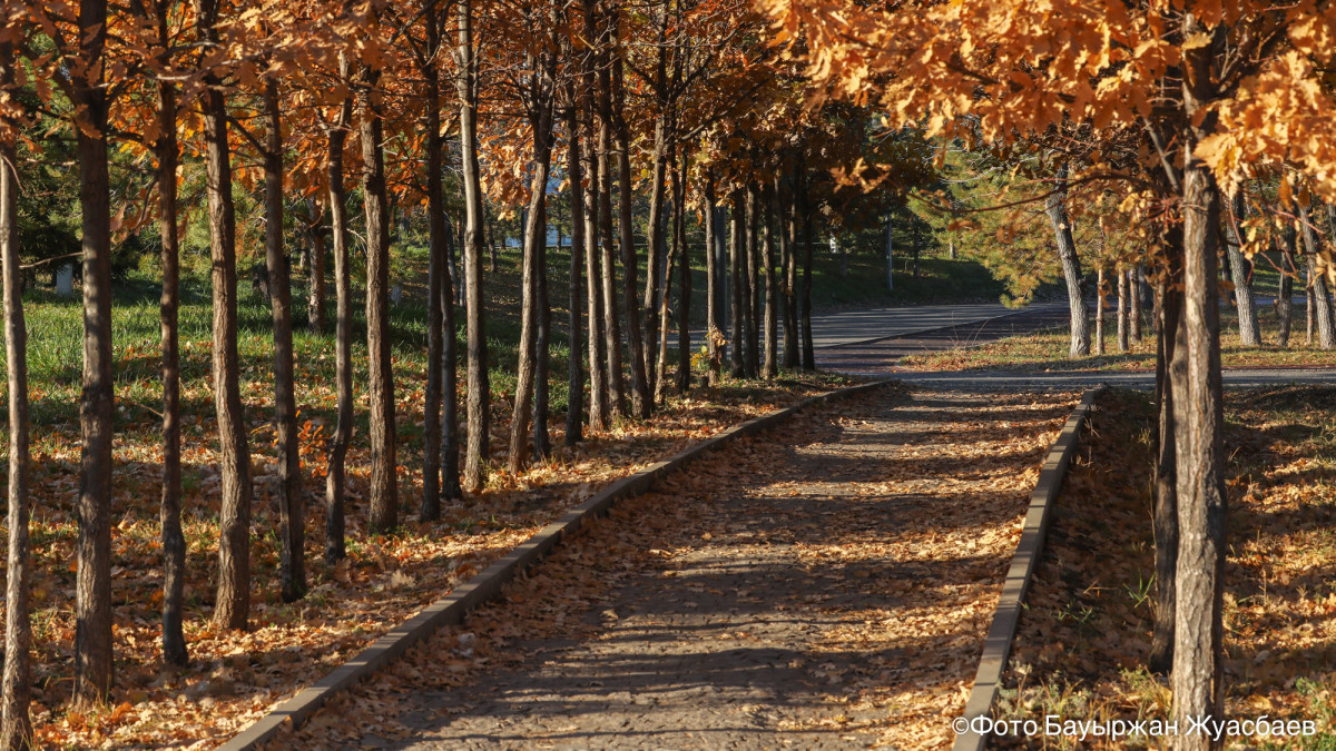  ©El.kz/Бауыржан ЖУАСБАЕВ 