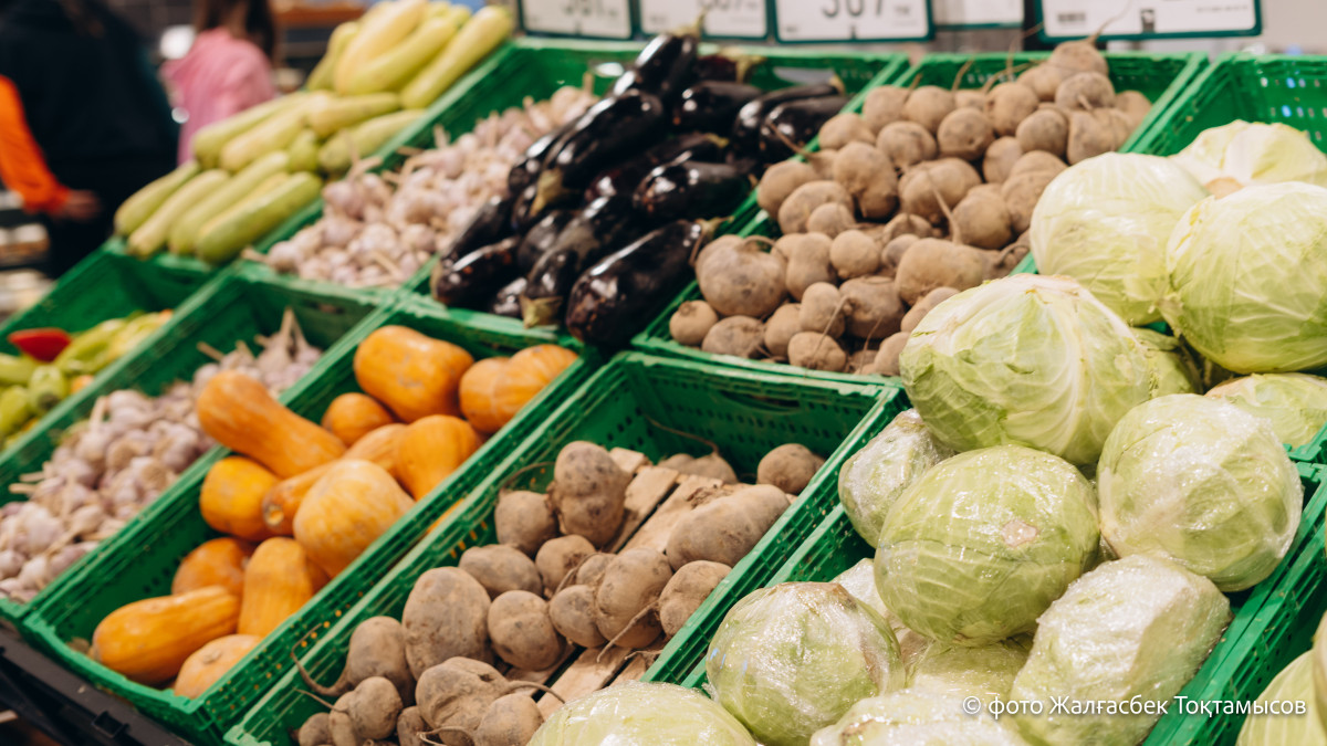  El.kz/Жалгасбек Токтамысов 