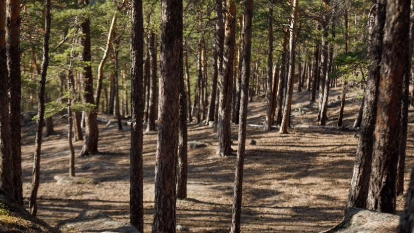  ©El.kz/Артем ЧУРСИНОВ 