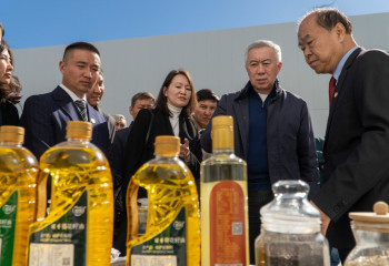 На севере Казахстана планируют построить крупнейший центр по экспорту казахстанской продукции в Китай