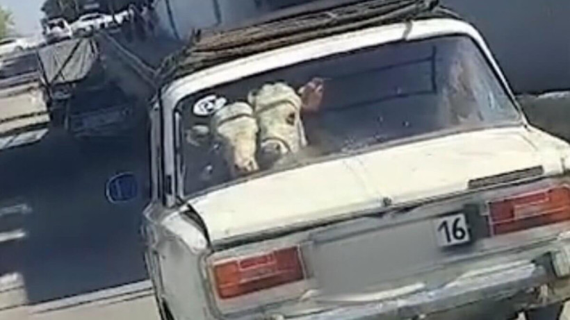  видеодан алынған кадр 