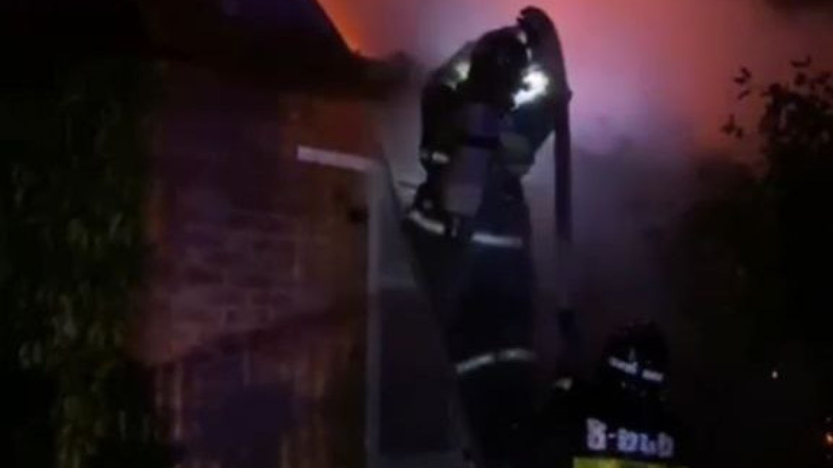  Видеодан кадр 