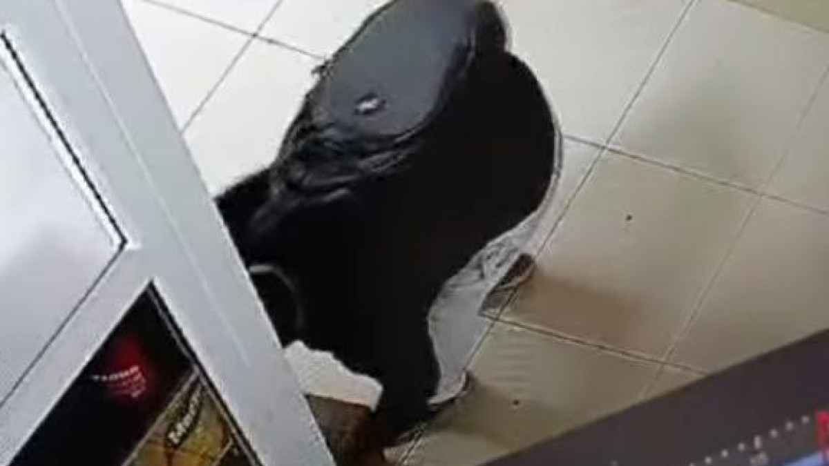  Видеодан кадр 