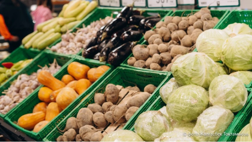  El.kz/ Жалгасбек Токтамысов 