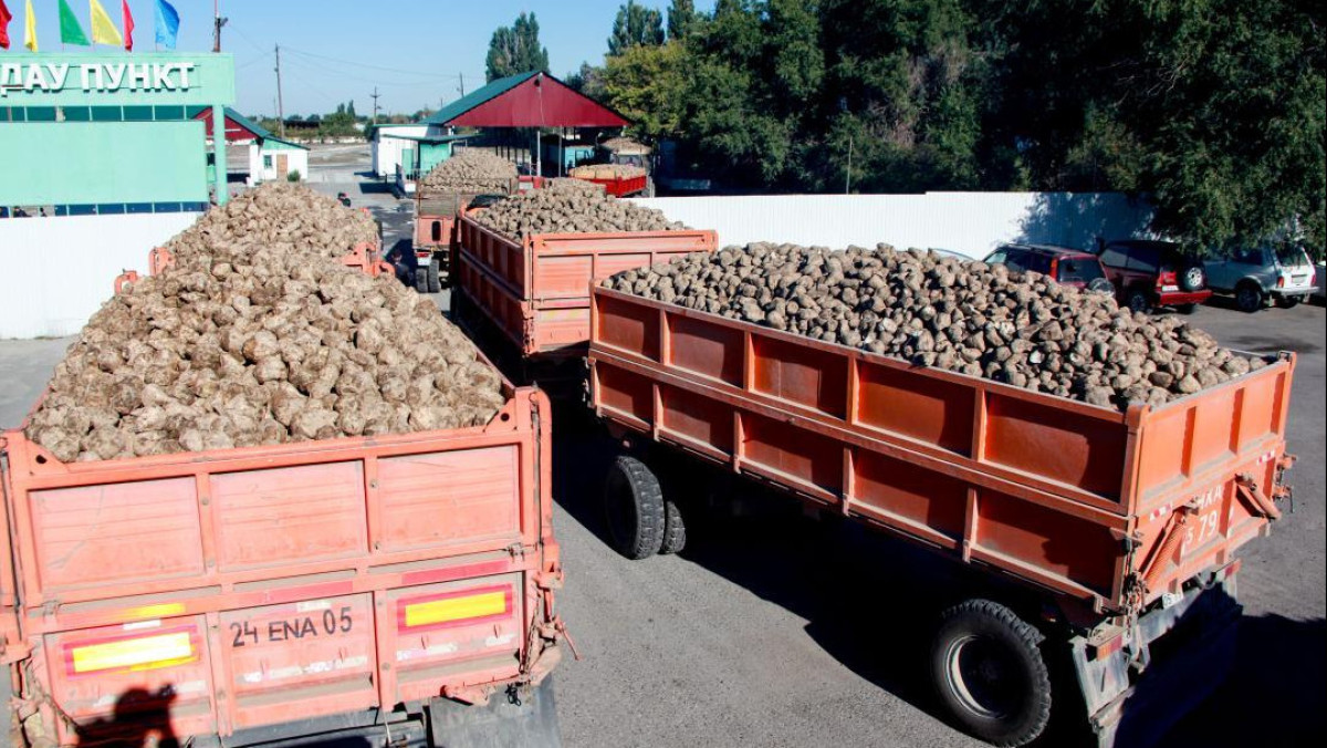  Ауыл шаруашылығы министрлігі 
