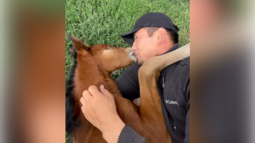  Кадр из видео 