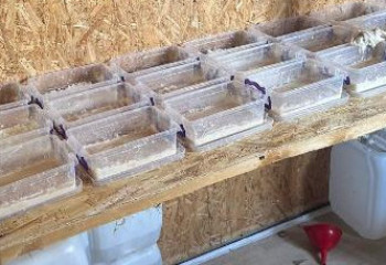 В Астане ликвидирована нарколаборатория, трое человек осуждены