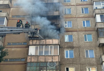 7 жизней спасли огнеборцы во время пожара в области Абай