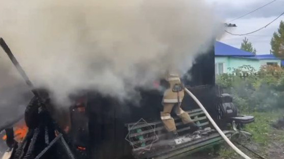  Видеодан кадр 