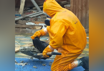 Спасатели Астаны ликвидировали осиное гнездо на детской площадке