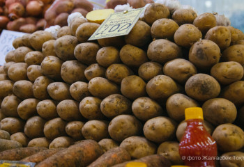 Более 170 тонн картофеля без сертификатов пытались завезти в Казахстан из России