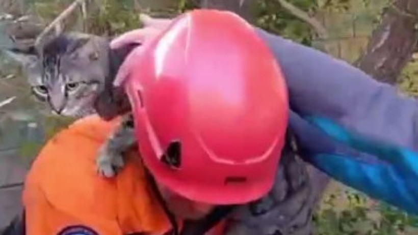  Кадр из видео 