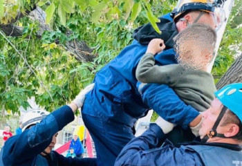 Павлодарда ағаш басына өрмелеп, төмен түсе алмай қалған бала құтқарылды