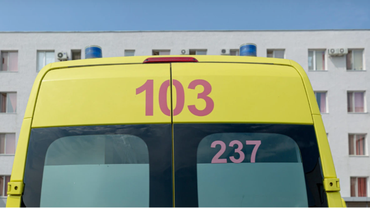  El.kz/ Артем Чурсинов 