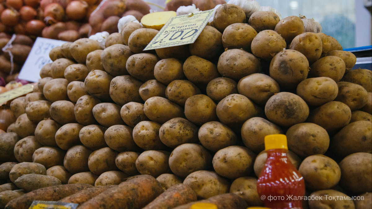  © El.kz / Жалғасбек ТОҚТАМЫСОВ 