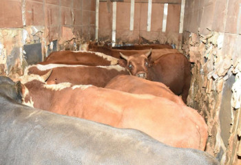 Қарағанды облысының тасжолдарында 18 жылжымалы блок-бекет қойылды