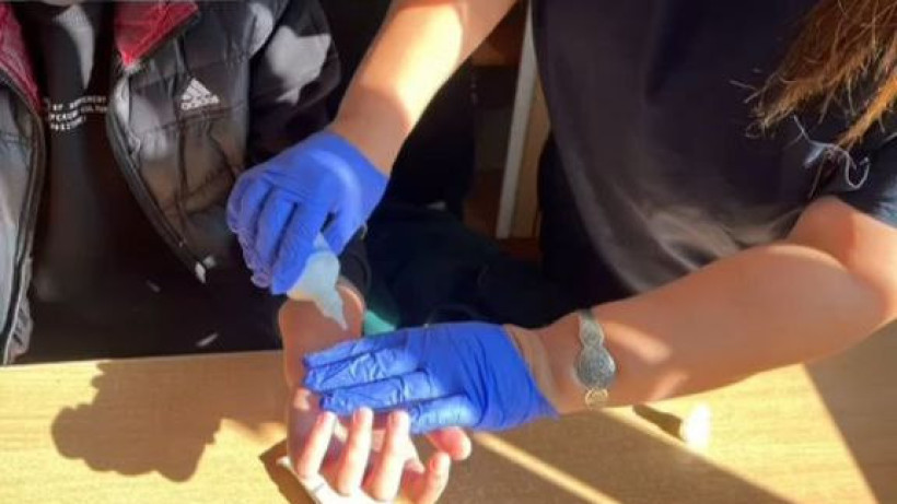  Видеодан кадр 