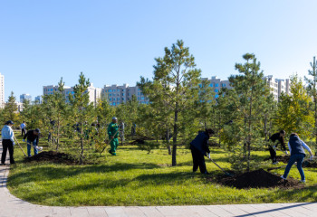 100 саженцев деревьев высадили сотрудники аппарата Правительства