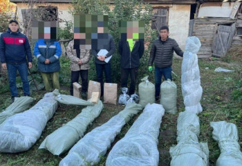 Более 15 кг марихуаны изъяли полицейские у жителя ВКО