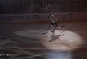 Главный тренер 