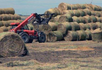 Қазақстанда 39 млн тоннадан астам жемшөп дайындалды