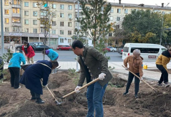 «Таза Қазақстан»: елордадағы Сарыарқа ауданына ағаштар мен бұталар отырғызылды