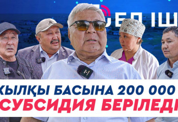 Жылқы басына 200 000 ₸ субсидия беріледі
