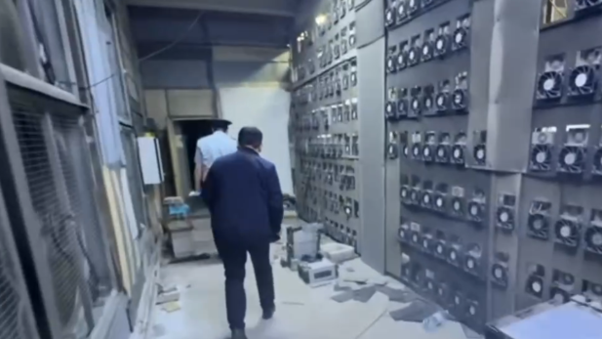  Видеодан кадр 