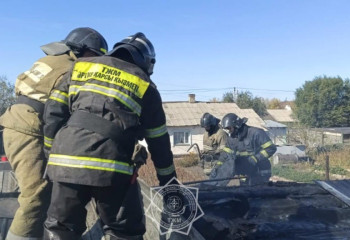 В Караганде в пожаре погибли домашние птицы
