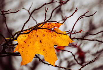 26 қыркүйекке арналған ауа райы болжамы жарияланды