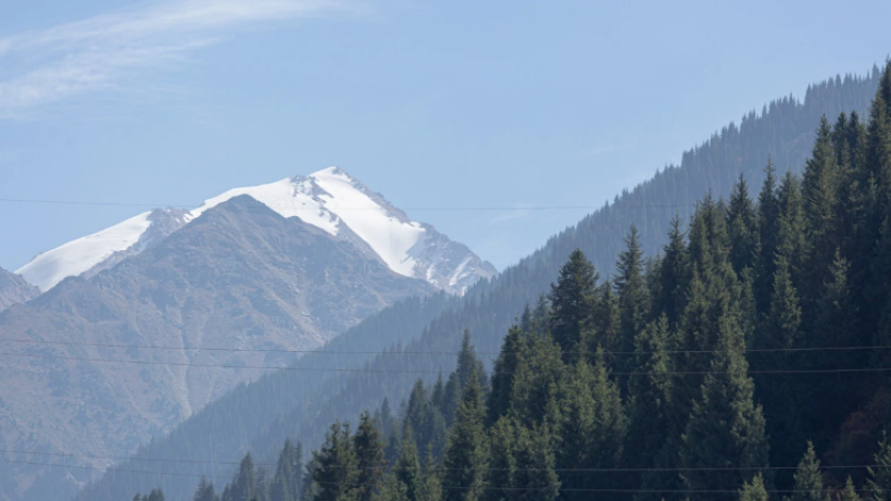  El.kz/Артем Чурсинов 