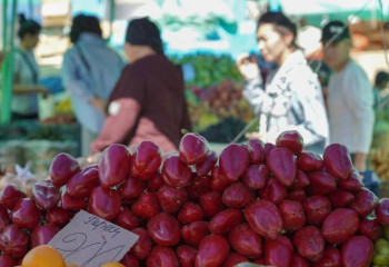 Аграрии двух регионов страны покажут свою продукцию на ярмарке в Астане