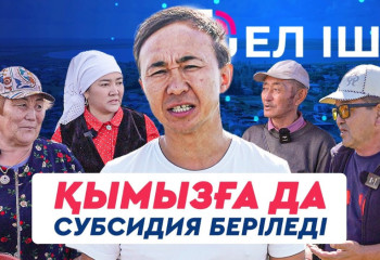 Қымызға да субсидия беріледі