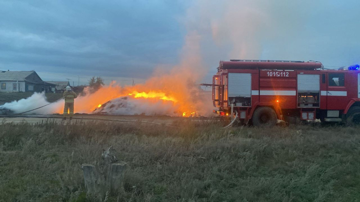 Ақмола облысында 10 тонна шөп өртенді