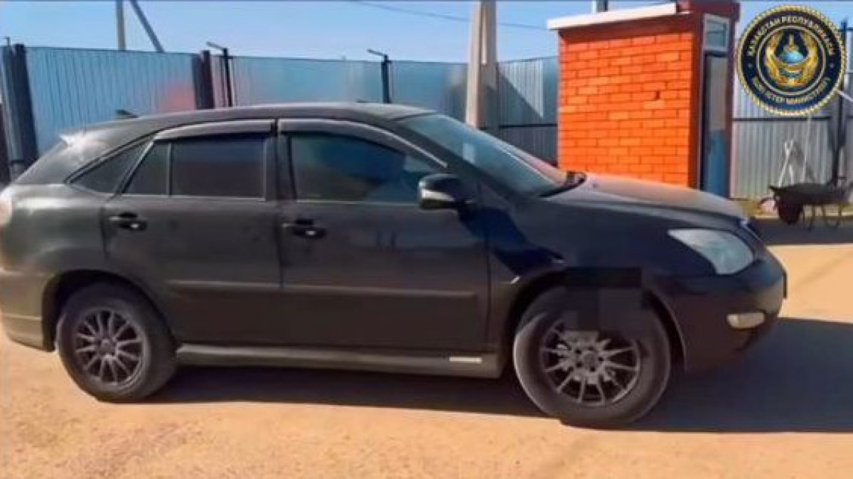  Видеодан кадр 