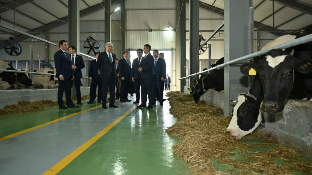  Пресс-служба Акорды 