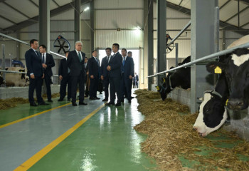 Президент посетил молочно-товарную ферму ТОО «Борте Милка»