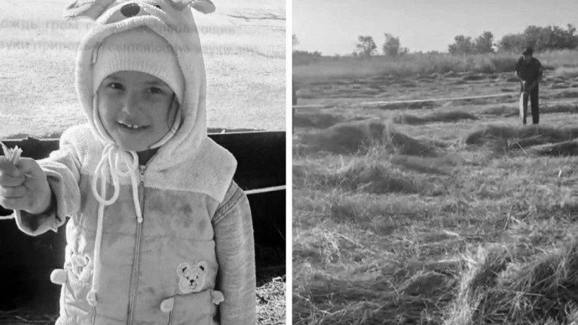  видеодан кадр 