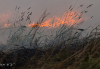 В двух районах Акмолинской области загорелся сухостой