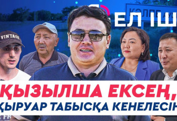 Қызылша ексең, қыруар табысқа кенелесің
