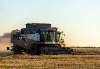В основных зерносеющих регионах Казахстана уже убрано 75% урожая