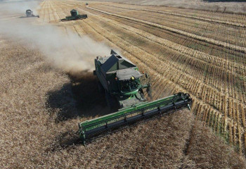Рекордные 6 млн тонн зерна планируют намолотить в Акмолинской области
