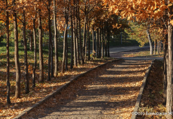 Найзағай, жел, өрт қаупі: елімізде ауа райына байланысты ескерту жарияланды