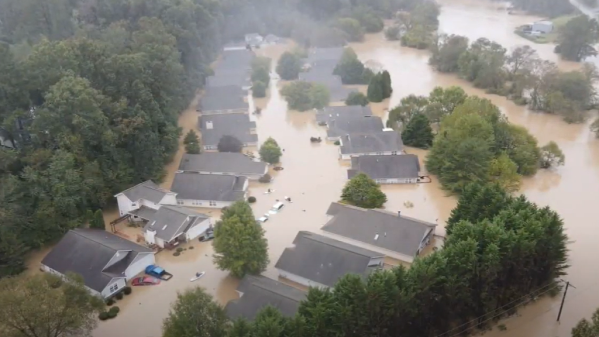  Screenshot from video 