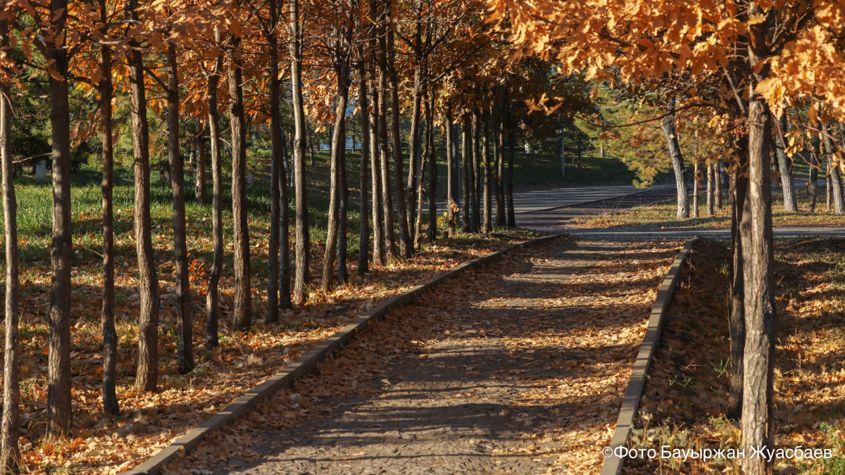  ©El.kz/Бауыржан ЖУАСБАЕВ 