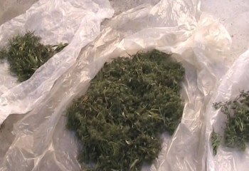 Житель ВКО задержан за хранение крупной партии наркотиков