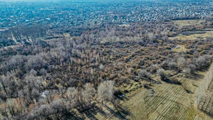  Ауыл шаруашылығы министрлігі 