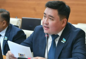 «Қаулысы бар да қаржысы жоқ». Депутат орманшылардың жанайқайын жеткізді