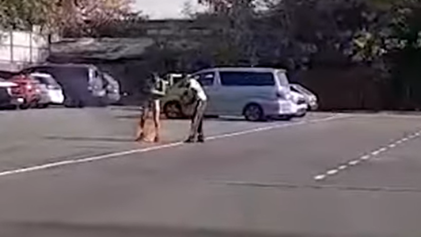  Кадр из видео 