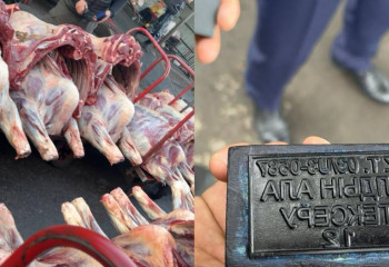 Продажу мяса с поддельными ветпечатями обнаружили на одном из рынков Астаны.